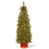 Christmas Central 6' Pre-Lit Potted Pencil Colonial Fir Artificial Christmas Half Wall Tree, Clear Lights 2 Christmas Central 6' Pre-Lit Potted Pencil Colonial Fir Artificial Christmas Half Wall Tree, Clear Lights -Christmas Central dnat peco8 361 60ht 1 09317.1587645164