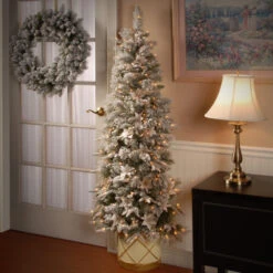 Christmas Central 6' Pre-Lit Slim Frosted Colonial Artificial Half Wall Christmas Tree, Clear Lights 6 Christmas Central 6' Pre-Lit Slim Frosted Colonial Artificial Half Wall Christmas Tree, Clear Lights -Christmas Central dnat peco8 362 6h 2 83024.1587645164