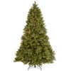 Christmas Central 7.5β Pre-Lit Full Downswept Douglas Fir Artificial Christmas Tree, White Lights 1 Christmas Central 7.5β Pre-Lit Full Downswept Douglas Fir Artificial Christmas Tree, White Lights -Christmas Central dnat pedd1 312 75 1 62903.1631812952