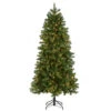 Christmas Central 6.5' Pre-Lit Downswept Douglas Fir Artificial Christmas Tree, Clear Lights -Christmas Central dnat pedd1 323 65 1 33031.1631812346