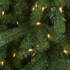 Christmas Central 6.5' Pre-Lit Downswept Douglas Fir Artificial Christmas Tree, Clear Lights 8 Christmas Central 6.5' Pre-Lit Downswept Douglas Fir Artificial Christmas Tree, Clear Lights -Christmas Central dnat pedd1 323 65 3 85493.1631812349