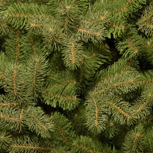 Christmas Central 7.5’ Downswept Douglas Fir Full Artificial Christmas Tree, Unlit 4 Christmas Central 7.5’ Downswept Douglas Fir Full Artificial Christmas Tree, Unlit - Image 2