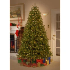 Christmas Central 7' Pre-Lit Downswept Douglas Fir Artificial Christmas Tree, Clear Lights -Christmas Central dnat pedd3 312 70 4 75040.1631811181