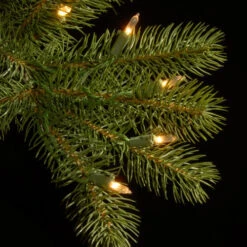Christmas Central 6' Pre-Lit Downswept Douglas Fir Teardrop Artificial Christmas Garland, Clear Lights 7 Christmas Central 6' Pre-Lit Downswept Douglas Fir Teardrop Artificial Christmas Garland, Clear Lights -Christmas Central dnat pedd4 300 6t 1 3 69895.1664552535