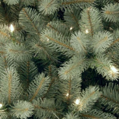 Christmas Central 4.5’ Pre-Lit Downswept Douglas Blue Fir Christmas Tree, Clear Lights 6 Christmas Central 4.5’ Pre-Lit Downswept Douglas Blue Fir Christmas Tree, Clear Lights -Christmas Central dnat peddb1 312 45 2 23600.1631812637