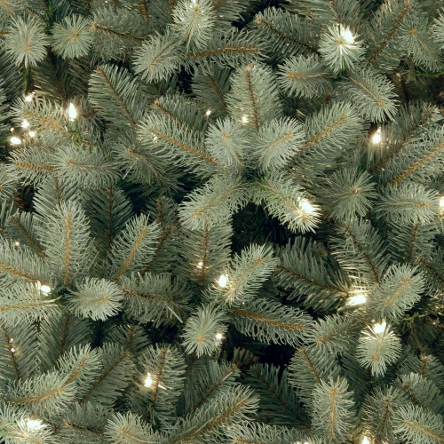 Christmas Central 7’ Pre-Lit Downswept Douglas Blue Fir Artificial Christmas Tree – Clear Lights 4 Christmas Central 7’ Pre-Lit Downswept Douglas Blue Fir Artificial Christmas Tree – Clear Lights - Image 2