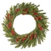 Christmas Central Pre-Lit Dorchester Fir Artificial Christmas Wreath, 24-Inch, Warm White Lights -Christmas Central dnat pedr3 300 24wb1 1 00451.1587645165