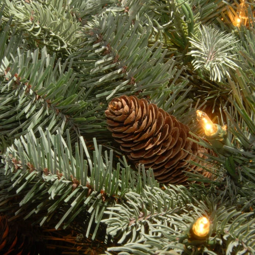 Christmas Central Pre-Lit Frosted Arctic Spruce Artificial Christmas Wreath, 24-Inch, Clear Lights 4 Christmas Central Pre-Lit Frosted Arctic Spruce Artificial Christmas Wreath, 24-Inch, Clear Lights - Image 2