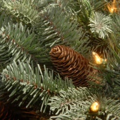 Christmas Central 7.5' Frosted Arctic Spruce Artificial Christmas Tree, Clear Lights 8 Christmas Central 7.5' Frosted Arctic Spruce Artificial Christmas Tree, Clear Lights -Christmas Central dnat pefa1 307 75 3 24716.1664121080