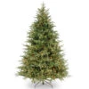 Christmas Central 6.5β Pre-Lit Frasier Grande Artificial Christmas Tree, Clear Lights 1 Christmas Central 6.5β Pre-Lit Frasier Grande Artificial Christmas Tree, Clear Lights -Christmas Central dnat pefg3 308 65 1 90608.1631812673
