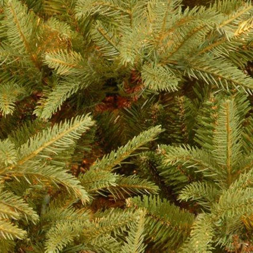 Christmas Central 7’ Frasier Grande Artificial Christmas Tree 4 Christmas Central 7’ Frasier Grande Artificial Christmas Tree - Image 2