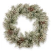 Christmas Central 30" Pre-Lit Frosted Mountain Spruce Artificial Christmas Wreath, Battery Operated Clear Lights 1 Christmas Central 30" Pre-Lit Frosted Mountain Spruce Artificial Christmas Wreath, Battery Operated Clear Lights -Christmas Central dnat pefm3 300 30wb1 1 50817.1631810857