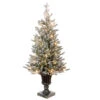 Christmas Central 4' Pre-Lit Slim Iceland Fir Artificial Entrance Christmas Tree, Clear Lights 1 Christmas Central 4' Pre-Lit Slim Iceland Fir Artificial Entrance Christmas Tree, Clear Lights -Christmas Central dnat peil2 306 40 1 54235.1587645168