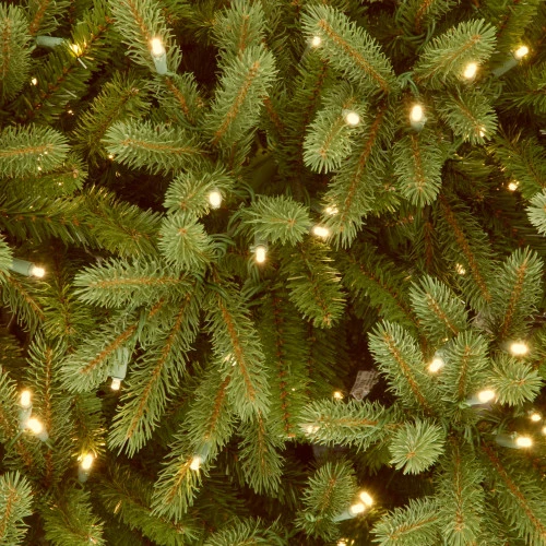 Christmas Central 6.5’ Pre-Lit Medium Jersey Fraser Fir Artificial Christmas Tree, White Lights 5 Christmas Central 6.5’ Pre-Lit Medium Jersey Fraser Fir Artificial Christmas Tree, White Lights - Image 3