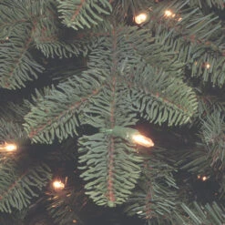 Christmas Central 7.5’ Pre-Lit Blue Mountain Noble Spruce Artificial Christmas Tree, Clear Lights -Christmas Central dnat pembs3 300 75 3 56452.1631812655