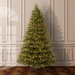 Christmas Central 7.5’ Pre-Lit Normandy Fir Artificial Christmas Tree, Clear Lights 6 Christmas Central 7.5’ Pre-Lit Normandy Fir Artificial Christmas Tree, Clear Lights -Christmas Central dnat penm1 310 75 2 29016.1670489770