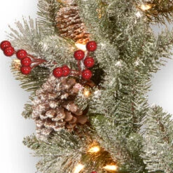 Christmas Central Pre-Lit Snowy Bristle Berry Artificial Christmas Wreath, 24-Inch, White LED Lights -Christmas Central dnat pesb3 300 24wbr 3 65508.1665347957