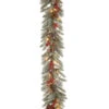 Christmas Central 9' X 12" Pre-Lit Snowy Bristle Berry Artificial Christmas Garland, Clear Lights 1 Christmas Central 9' X 12" Pre-Lit Snowy Bristle Berry Artificial Christmas Garland, Clear Lights -Christmas Central dnat pesb3 300 9b 1 1 76949.1587645144