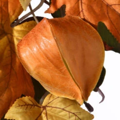 Christmas Central 6' Fall Harvest Sunflower And Pine Cones Artificial Garland – Unlit -Christmas Central dnat rahv hyx0260a 3 57144.1664379974