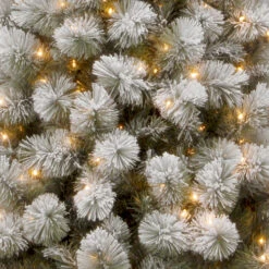 Christmas Central 7.5’ Pre-Lit Slim Snowy Bristle Pine Artificial Christmas Tree, Clear Lights 7 Christmas Central 7.5’ Pre-Lit Slim Snowy Bristle Pine Artificial Christmas Tree, Clear Lights -Christmas Central dnat snp1 304 75 3 58213.1631810872