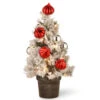 Christmas Central 2' Pre-Lit Potted Snowy Bristle Pine Medium Artificial Tabletop Christmas Tree, White LED Lights 1 Christmas Central 2' Pre-Lit Potted Snowy Bristle Pine Medium Artificial Tabletop Christmas Tree, White LED Lights -Christmas Central dnat snp7 308 20 b 17416.1665580040
