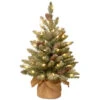 Christmas Central 2' Pre-lit Potted Snowy Concolor Fir Artificial Christmas Tree, White LED Lights -Christmas Central dnat sr1 328 20 b1 1 01700.1587645073