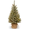 Christmas Central 3' Pre-lit Medium Snowy Concolor Fir Artificial Christmas Tree, White LED Lights -Christmas Central dnat sr1 328 30 b1 1 67495.1665174306