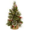Christmas Central 18" Pre-Lit Medium Wintry Pine Artificial Christmas Tree, Warm White Lights 2 Christmas Central 18" Pre-Lit Medium Wintry Pine Artificial Christmas Tree, Warm White Lights -Christmas Central dnat wp1 345 18 b1 1 96846.1665580040
