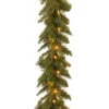 Christmas Central 9' X 10" Pre-Lit Tiffany Fir Artificial Christmas Garland - Clear Lights