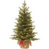 Christmas Central 3' Pre-lit Potted Nordic Spruce Artificial Christmas Tree, Warm White LED Lights -Christmas Central pens3 357 30 bs 61527.1588357207