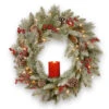 Christmas Central Pre-Lit Snowy Bristle Berry Artificial Christmas Wreath, 24-Inch, White LED Lights -Christmas Central pesb3 300 24wbr 66677.1588348946