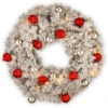 Christmas Central Pre-Lit Snowy Bristle Pine Wreath, 30-Inch, Warm White LED Lights -Christmas Central snp7 308 30w b1 54515.1588348966