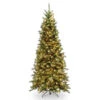 Christmas Central 6.5’ Pre-Lit Tiffany Fir Medium Artificial Christmas Tree, White Lights -Christmas Central tfslh 65lo 52381.1670489769